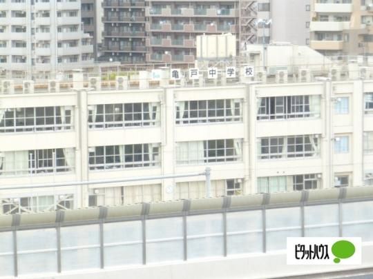 yӁz@]旧T˒wZF1187m