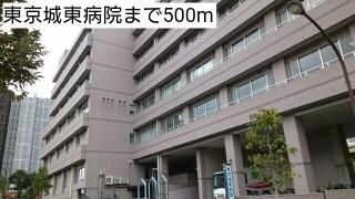 【周辺】　東京城東病院：500m