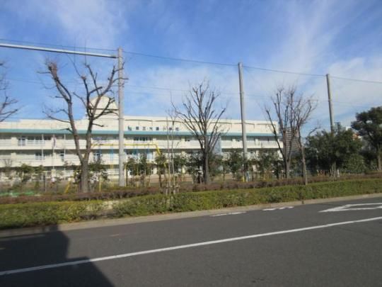 【周辺】　江東区立第三大島小学校：457m