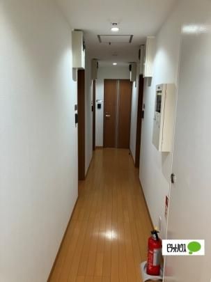 �y�����O�ρz�@���p�L��