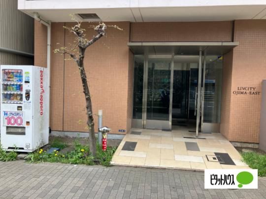 �y�����O�ρz�@�G���g�����X