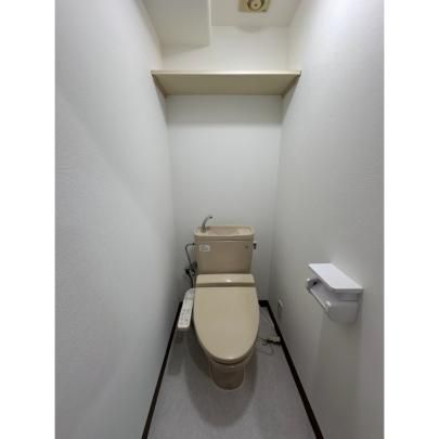 �y���̑��z�@�g�C��