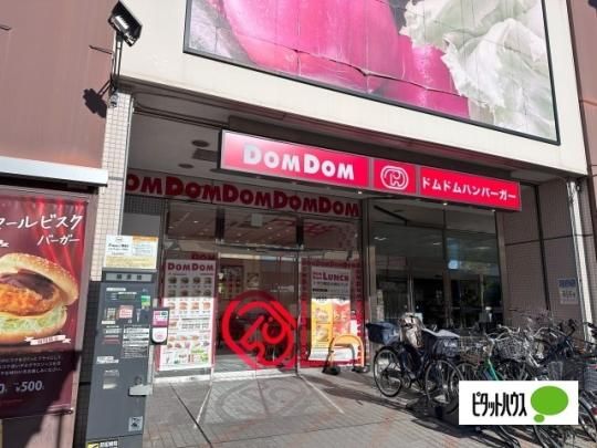 �y���Ӂz�@�h���h���n���o�[�K�[���哇�X�F377m