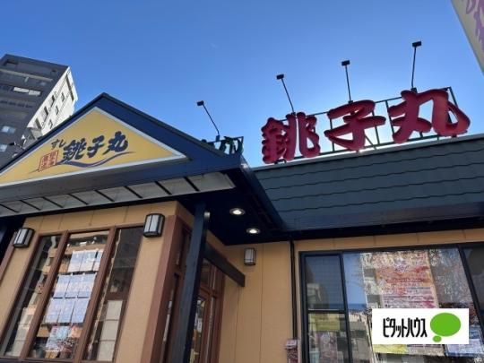 �y���Ӂz�@�������q�ۋT�˓X�F87m