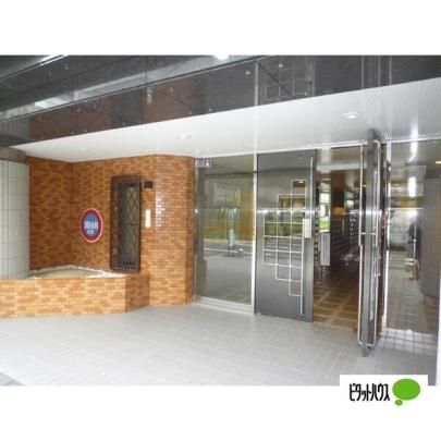 �y�����O�ρz�@�G���g�����X