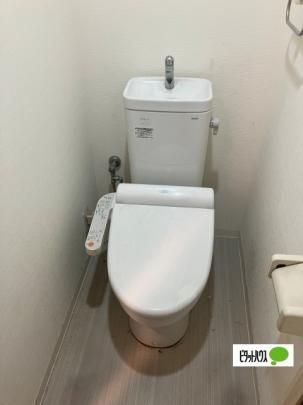 �y���̑��z�@�g�C��