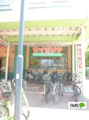 �y���Ӂz�@�T�C�[�����C�I���t�[�h�X�^�C���哇�X�F227m