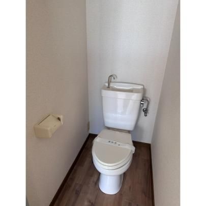 �y���̑��z�@�g�C��