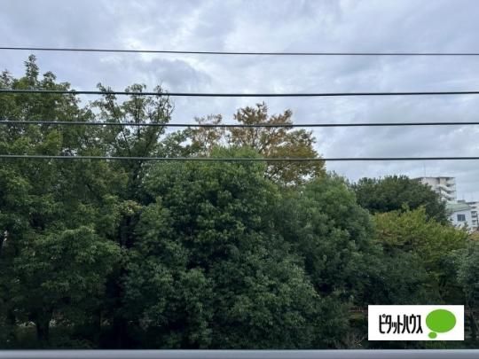 �y���̑��z�@���]
