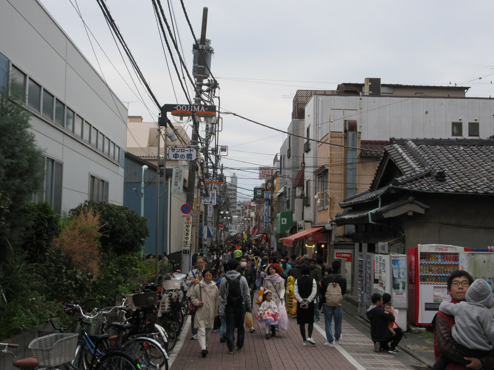 中の橋商店街ハロウィンパーティー 16年10月30日更新 中の橋商店街ハロウィンパーティー 東大島の賃貸は住まい応援 Com ピタットハウス東大島店